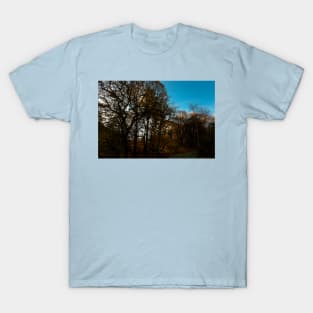 Plessey Woods, Bedlington T-Shirt